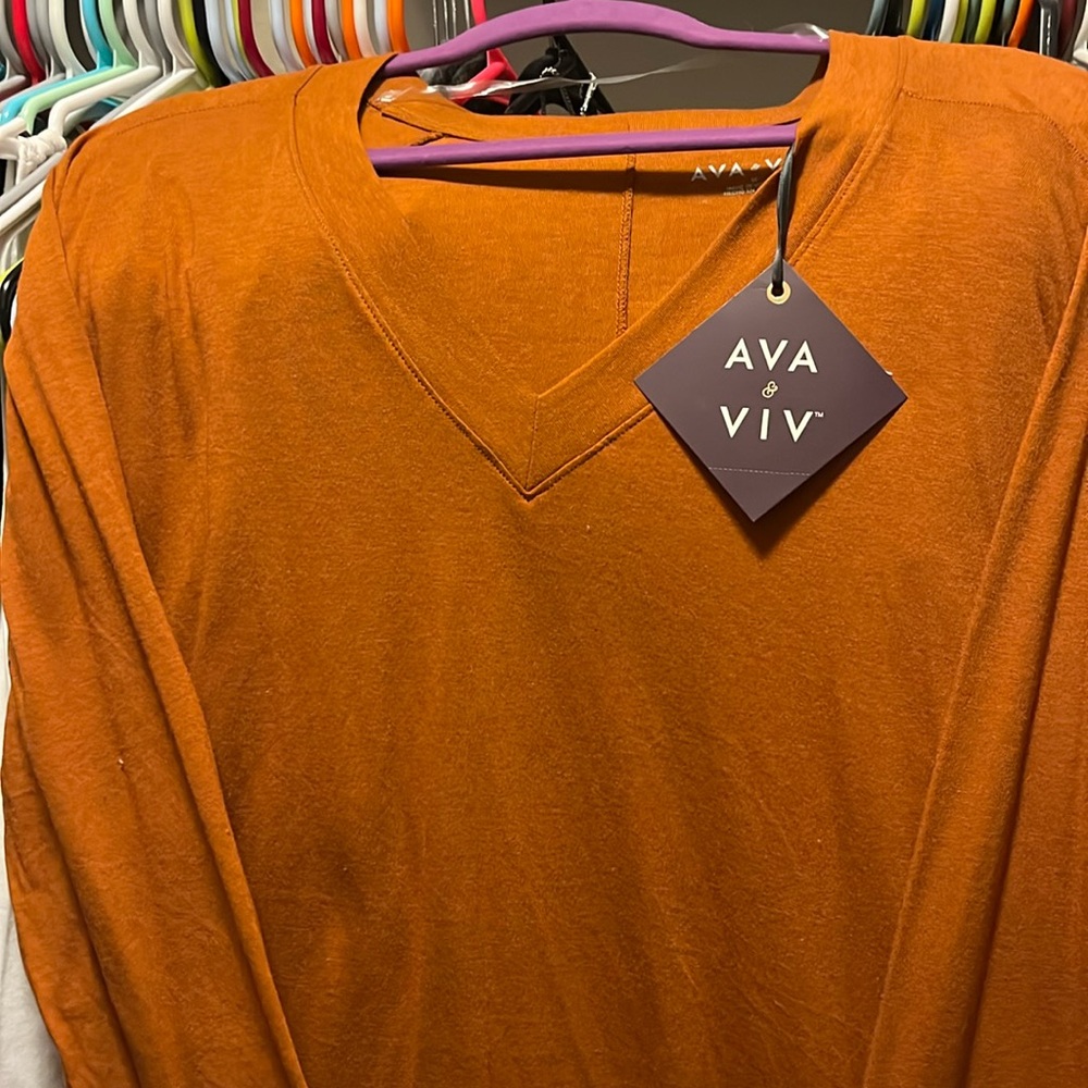 NWT. Women's v neck long sleeve. Rust color. Size 1X.